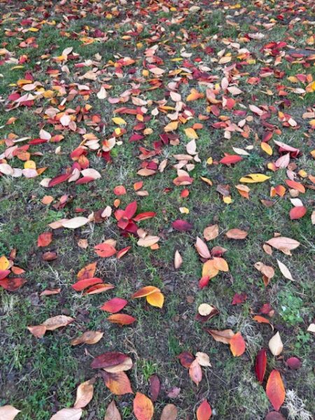 年末年始のお休みについてのアイキャッチ画像