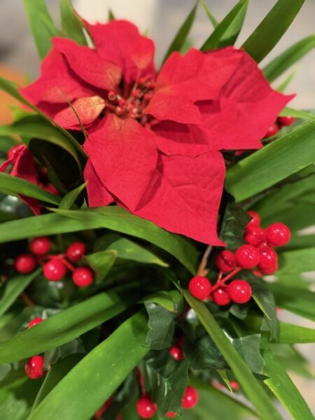 年末に向けて転倒やケガにご注意を!のアイキャッチ画像