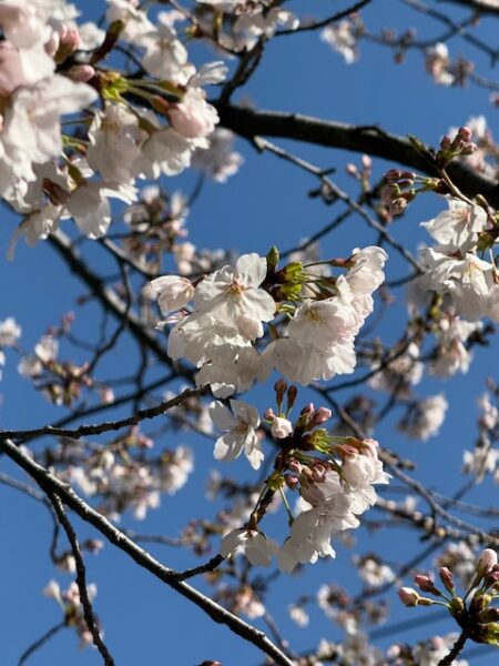 春休みのアイキャッチ画像